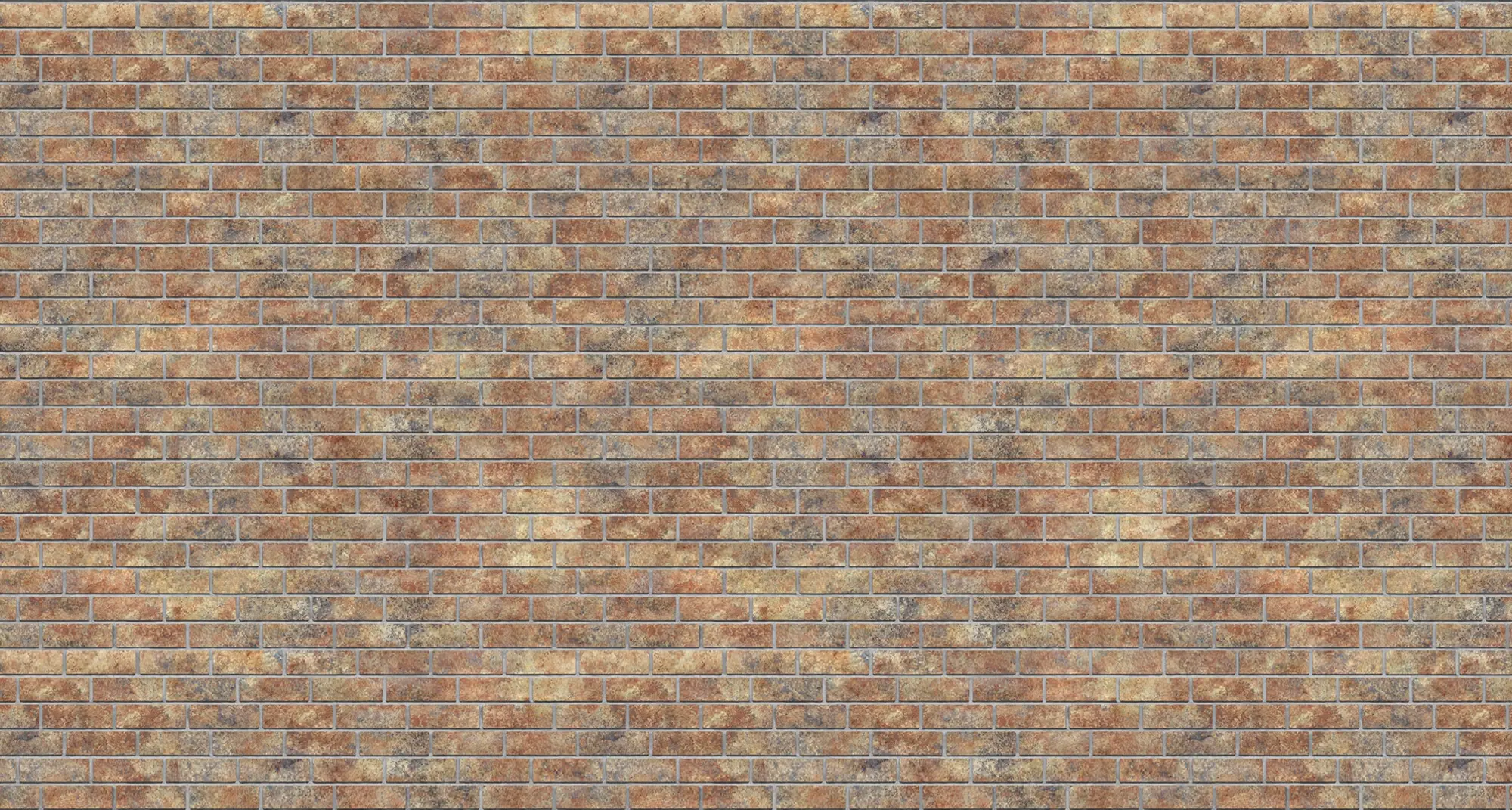 Nevada Oldbrick Queen