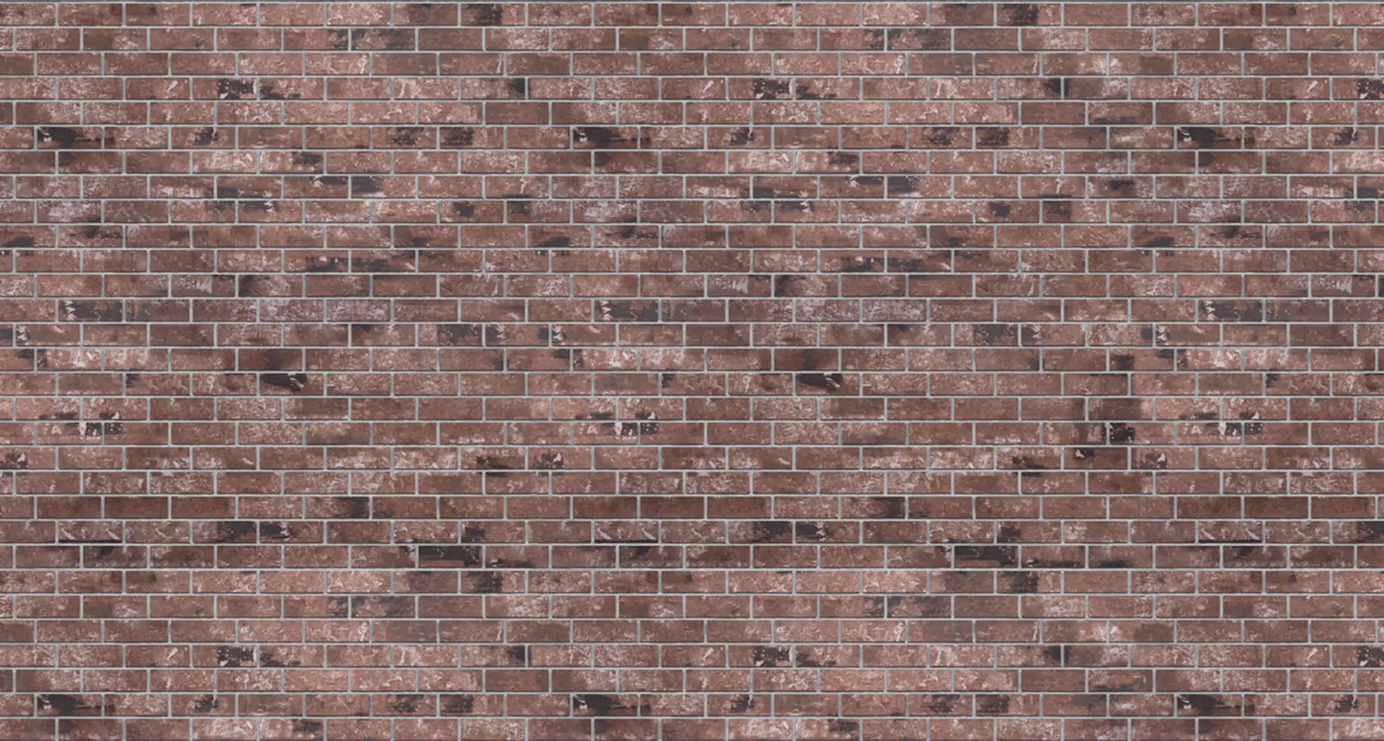 Desert Oldbrick Queen