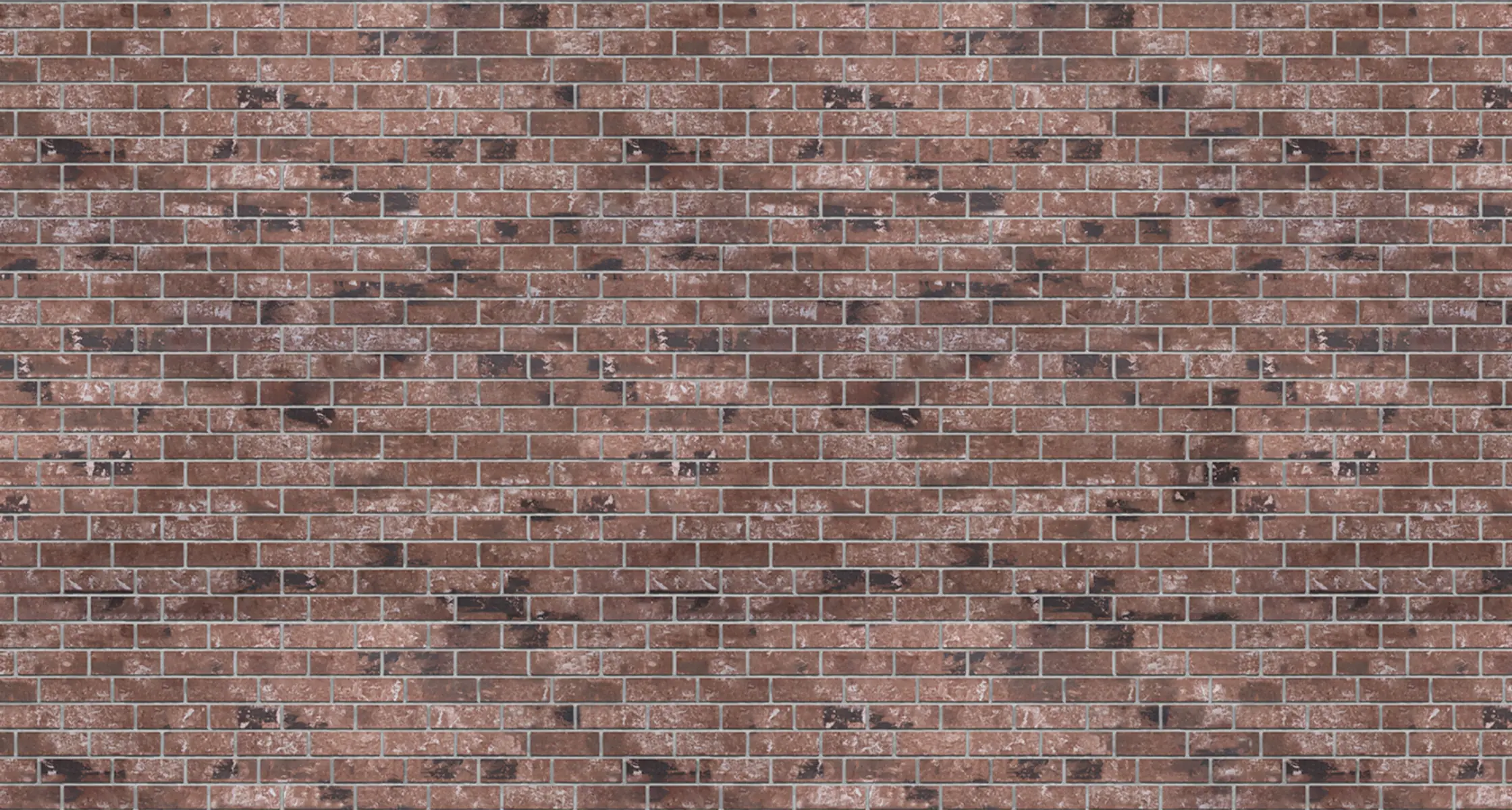 Desert Oldbrick Queen