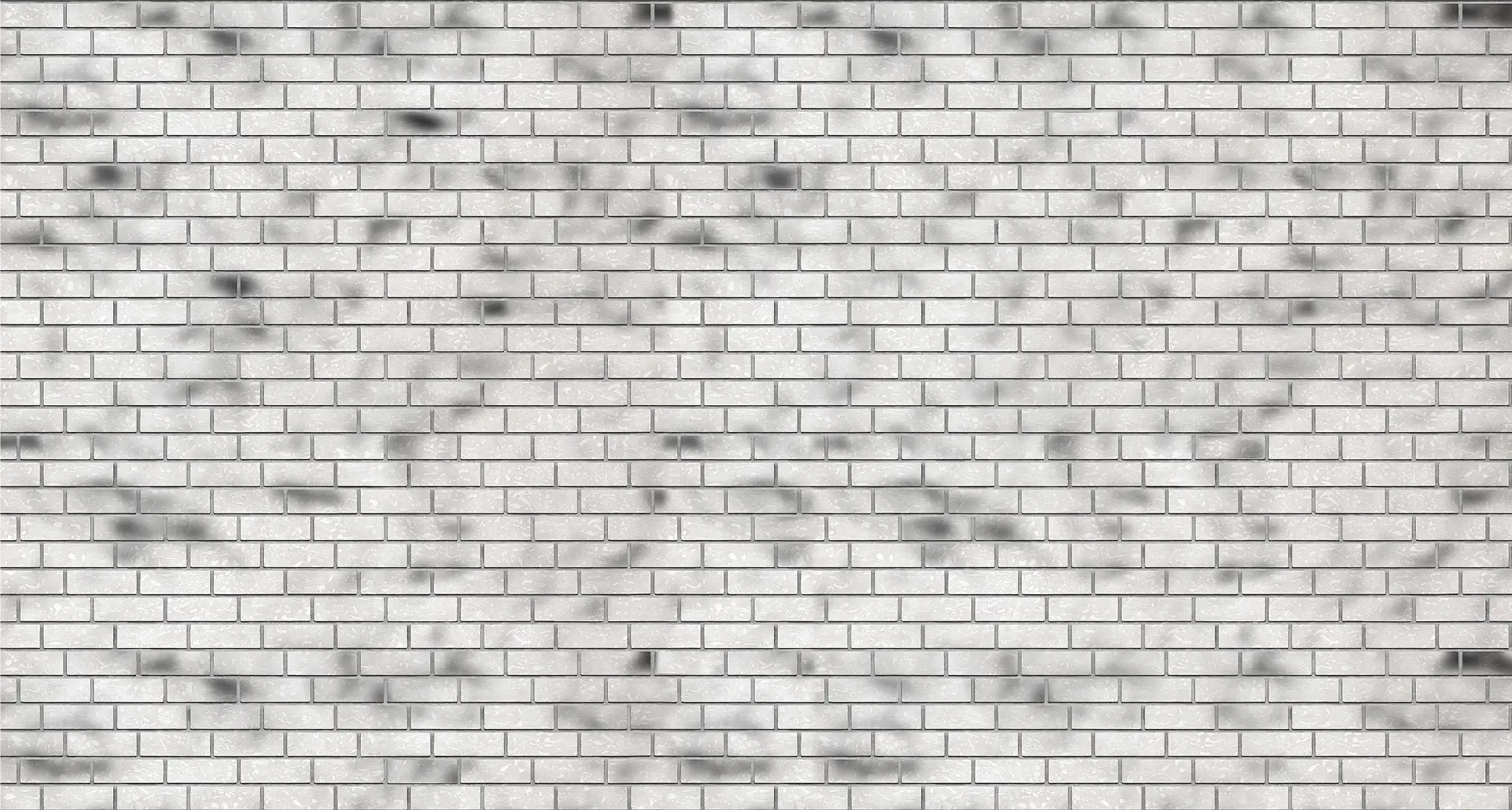 Lotto Oldbrick Queen