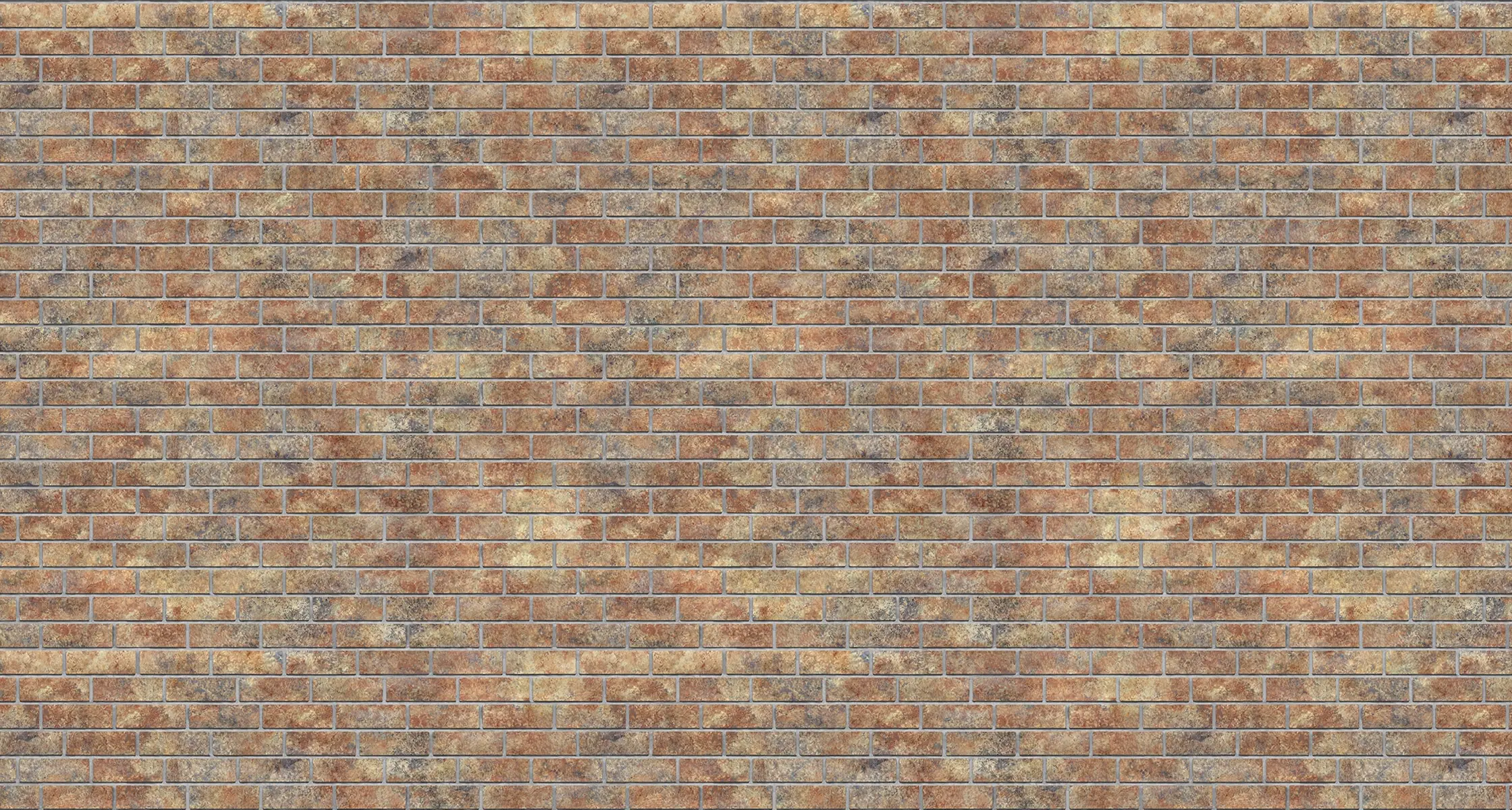 Nevada Oldbrick Queen