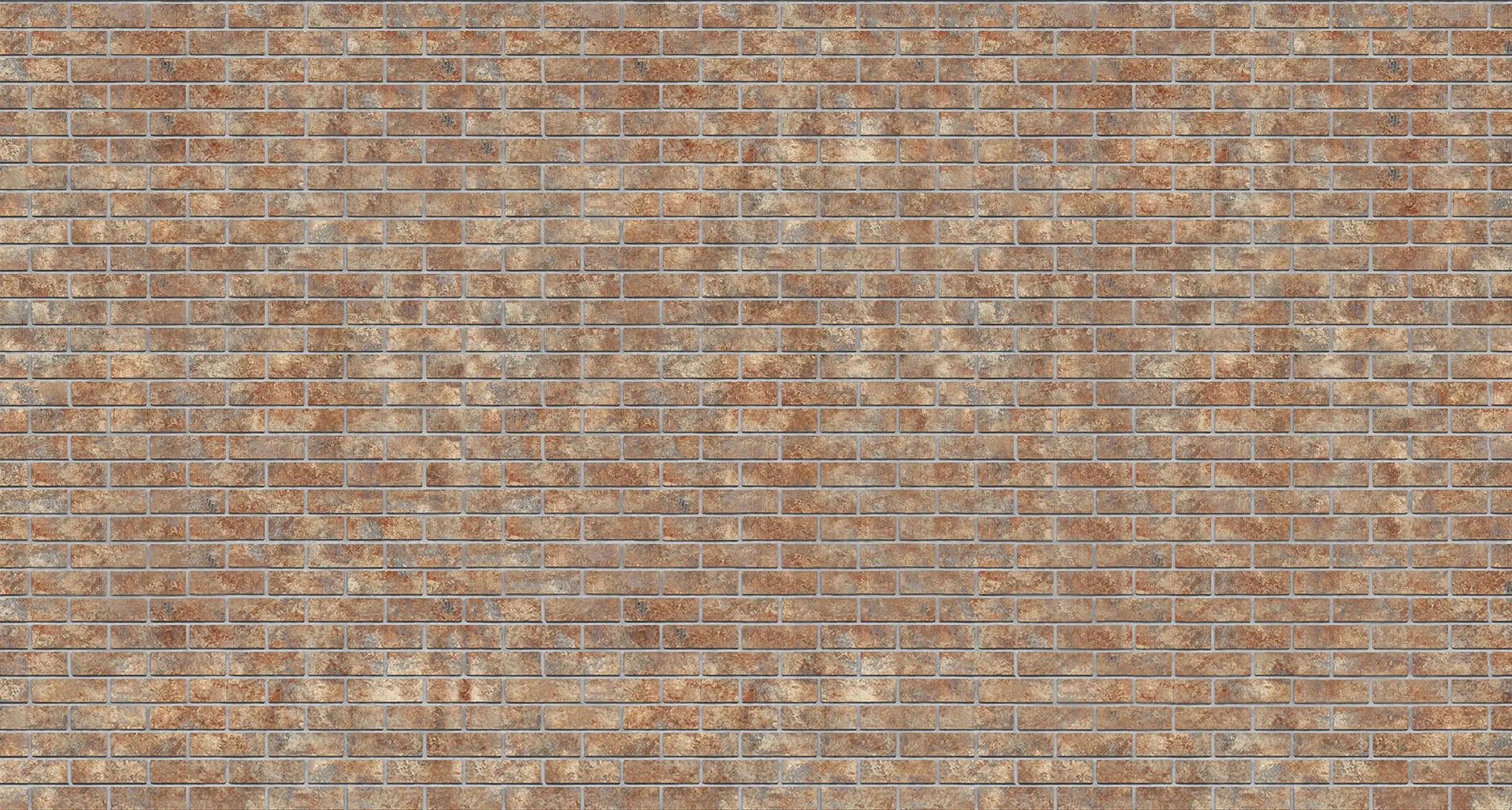 Nevada Wirecut Modular