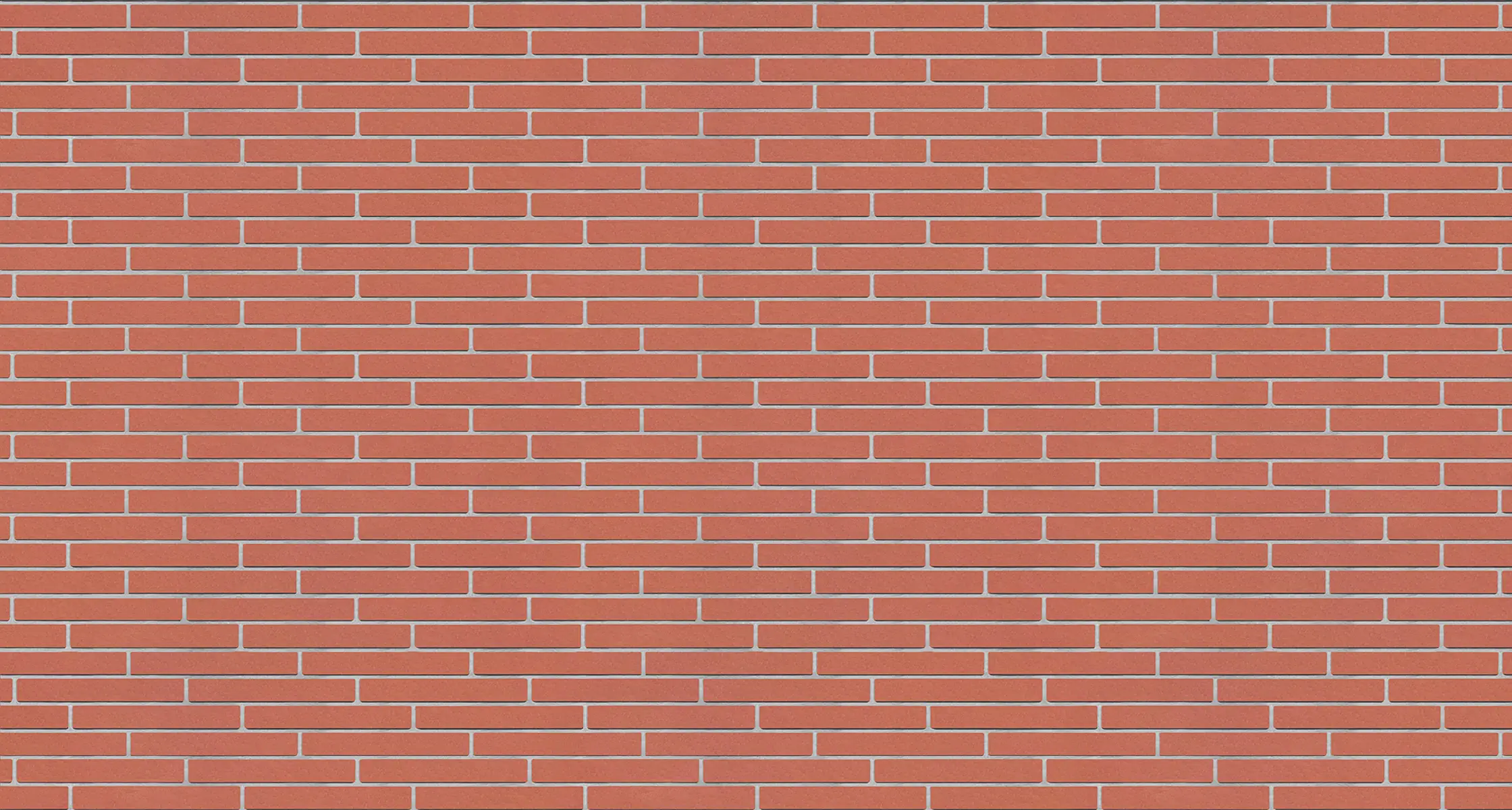 English Red Smooth Norman Xl