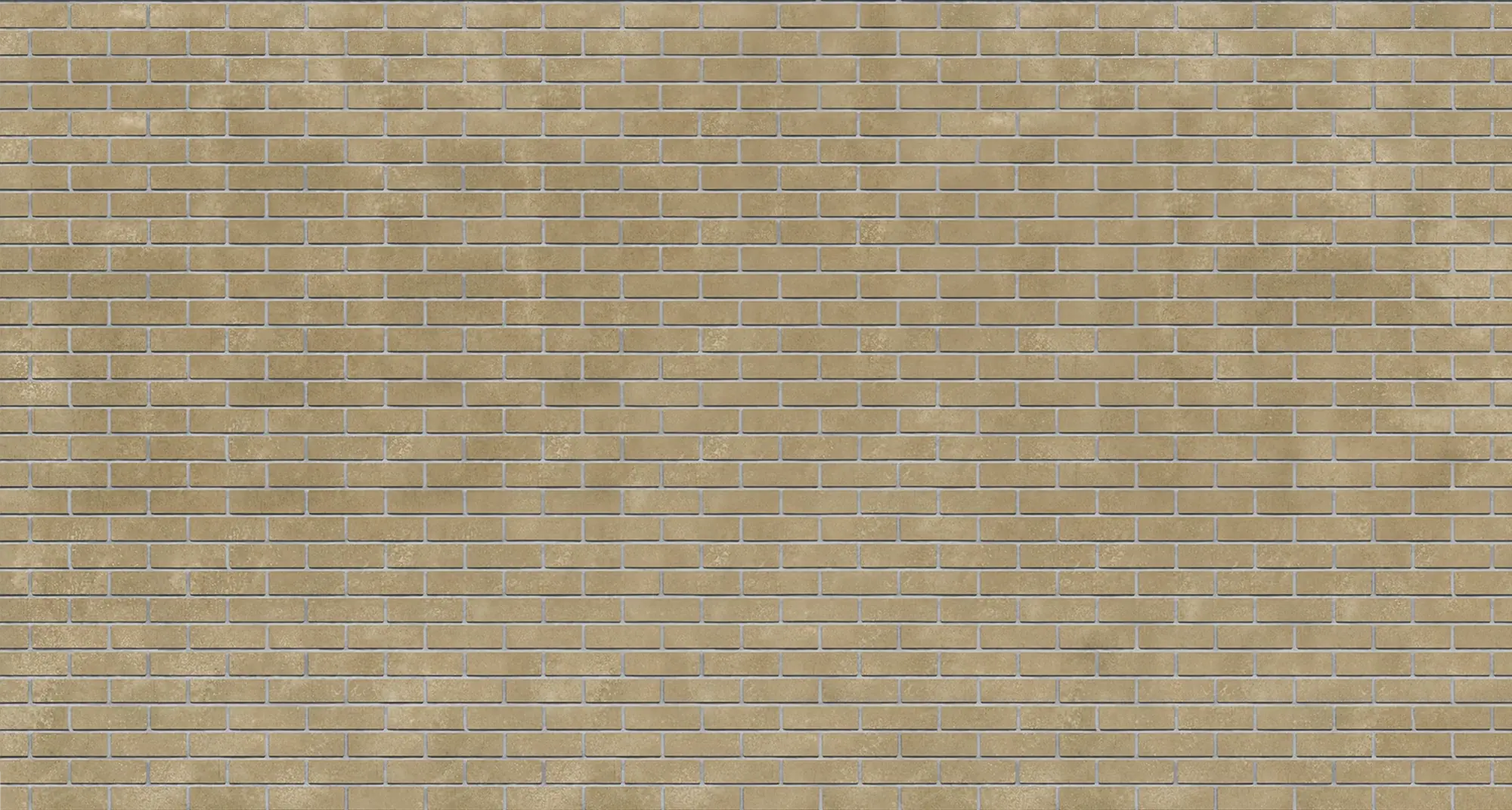 Cartago Wirecut Modular