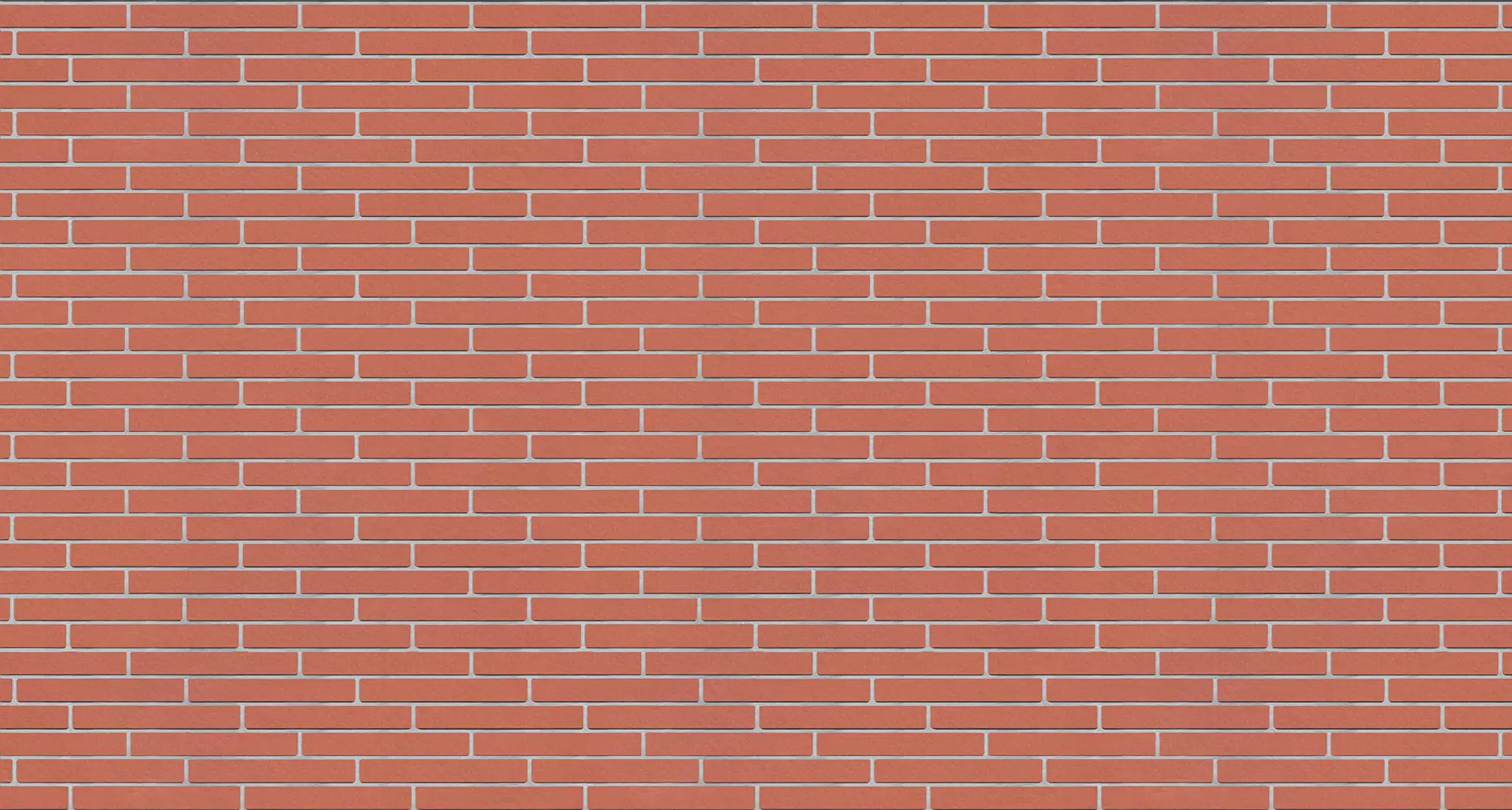English Red Smooth Norman Xl