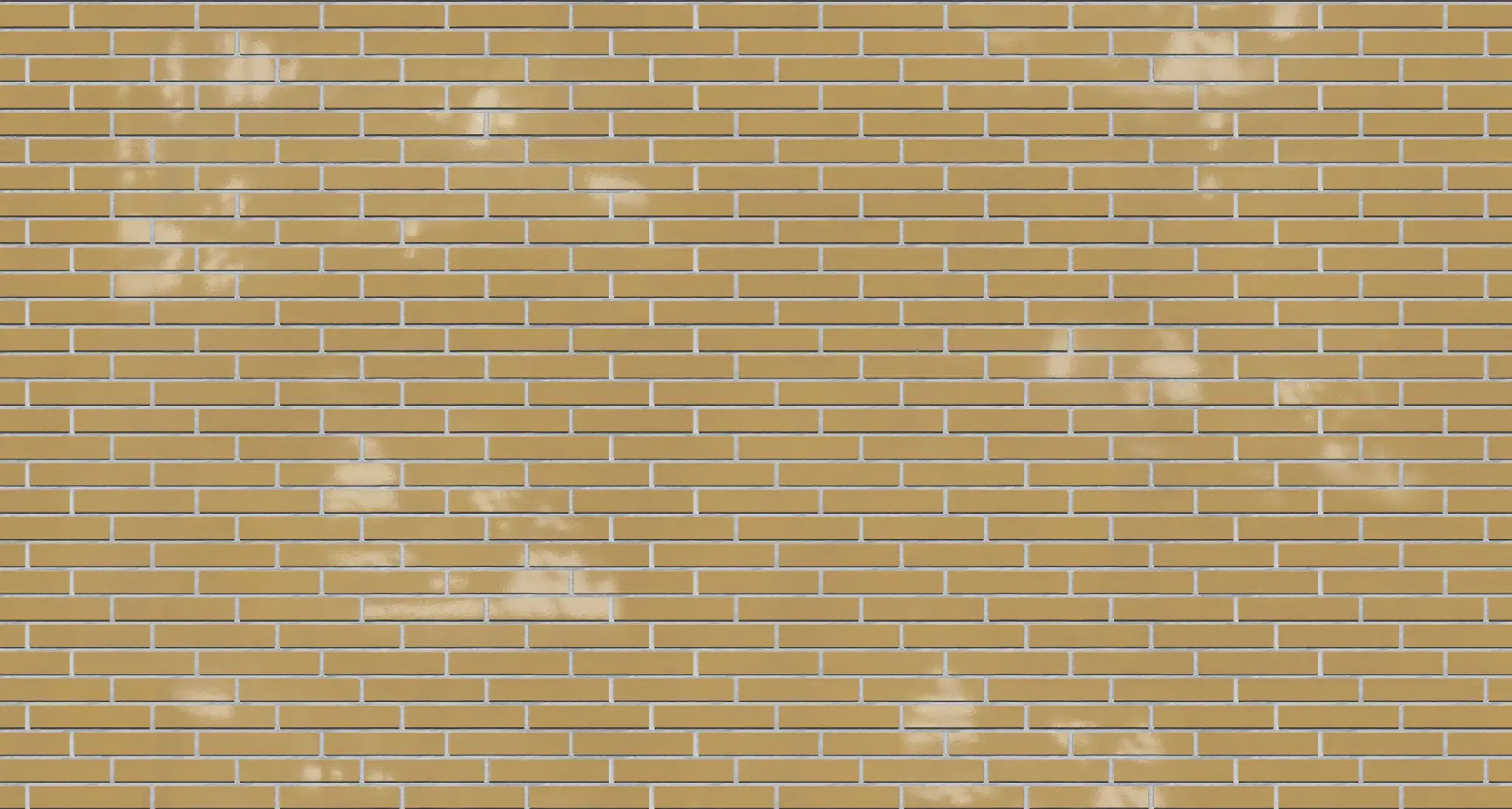 Honey Smooth Glazed Norman