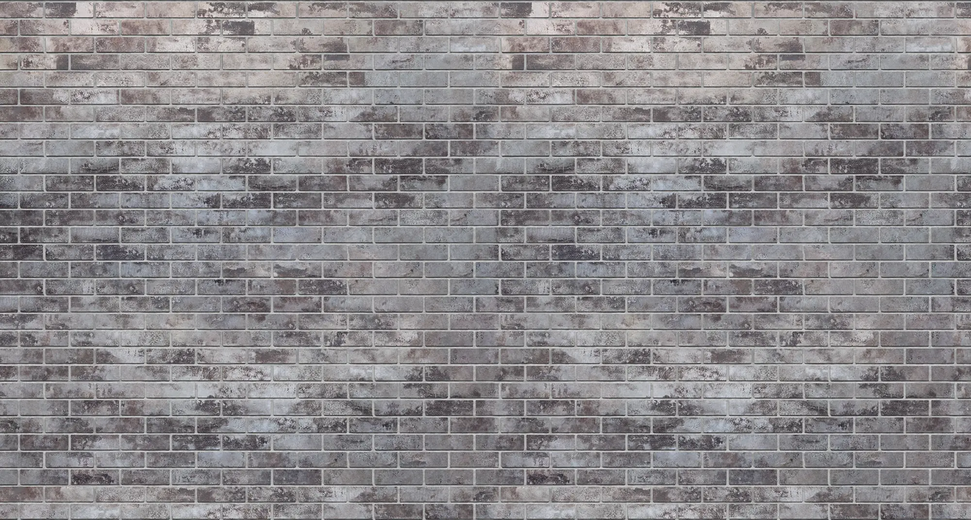 Ivory Wirecut Modular