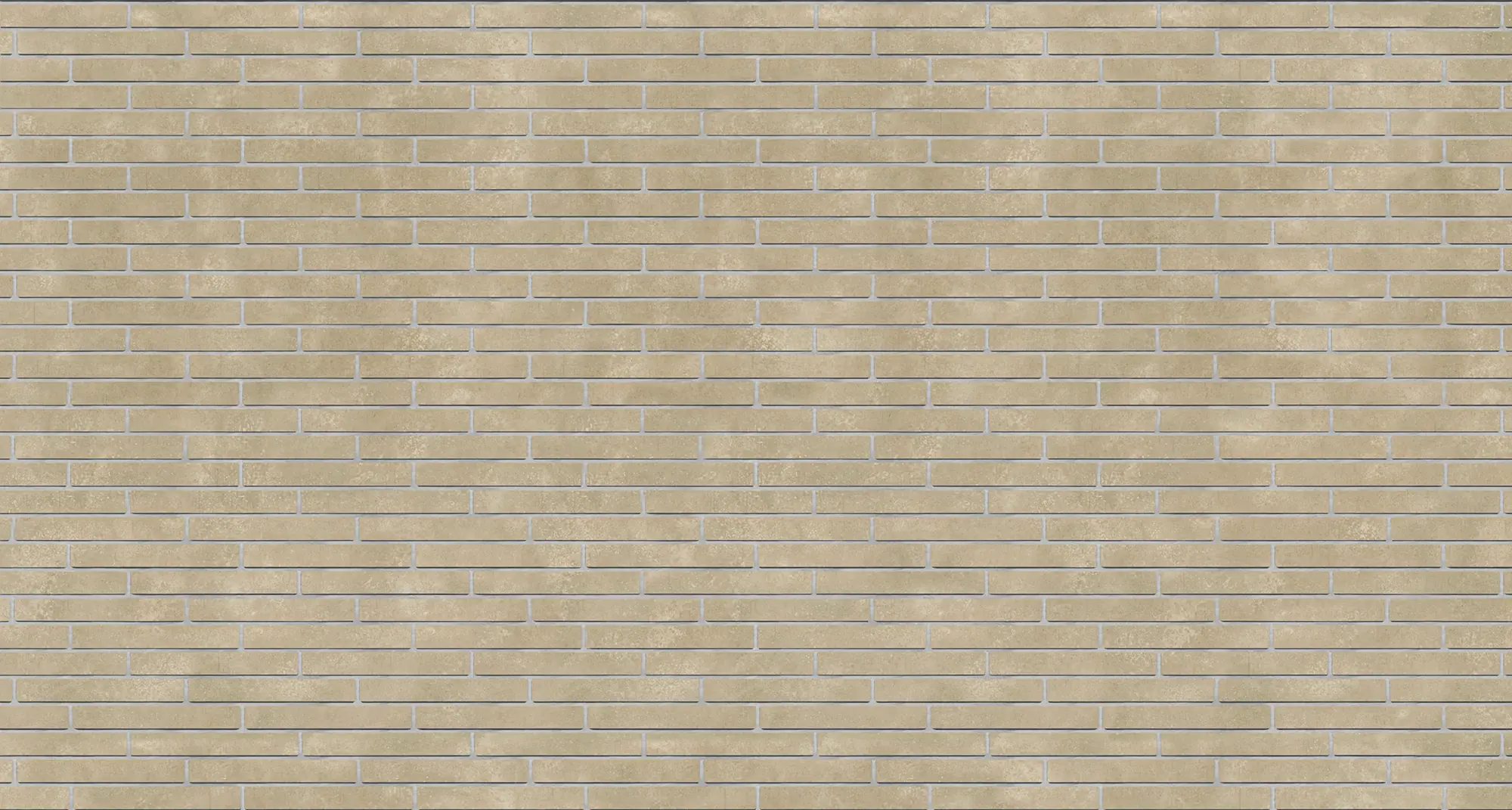Latte Wirecut Norman Xl