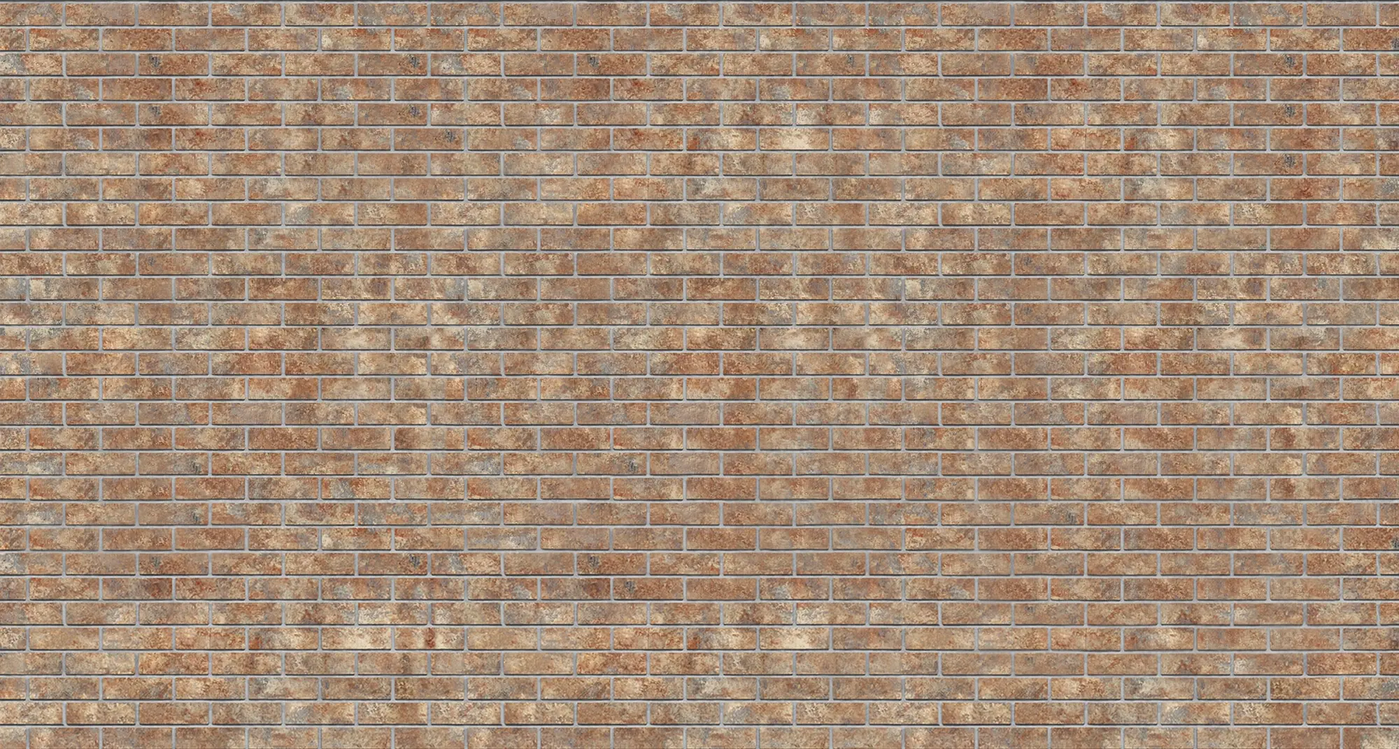 Nevada Wirecut Modular