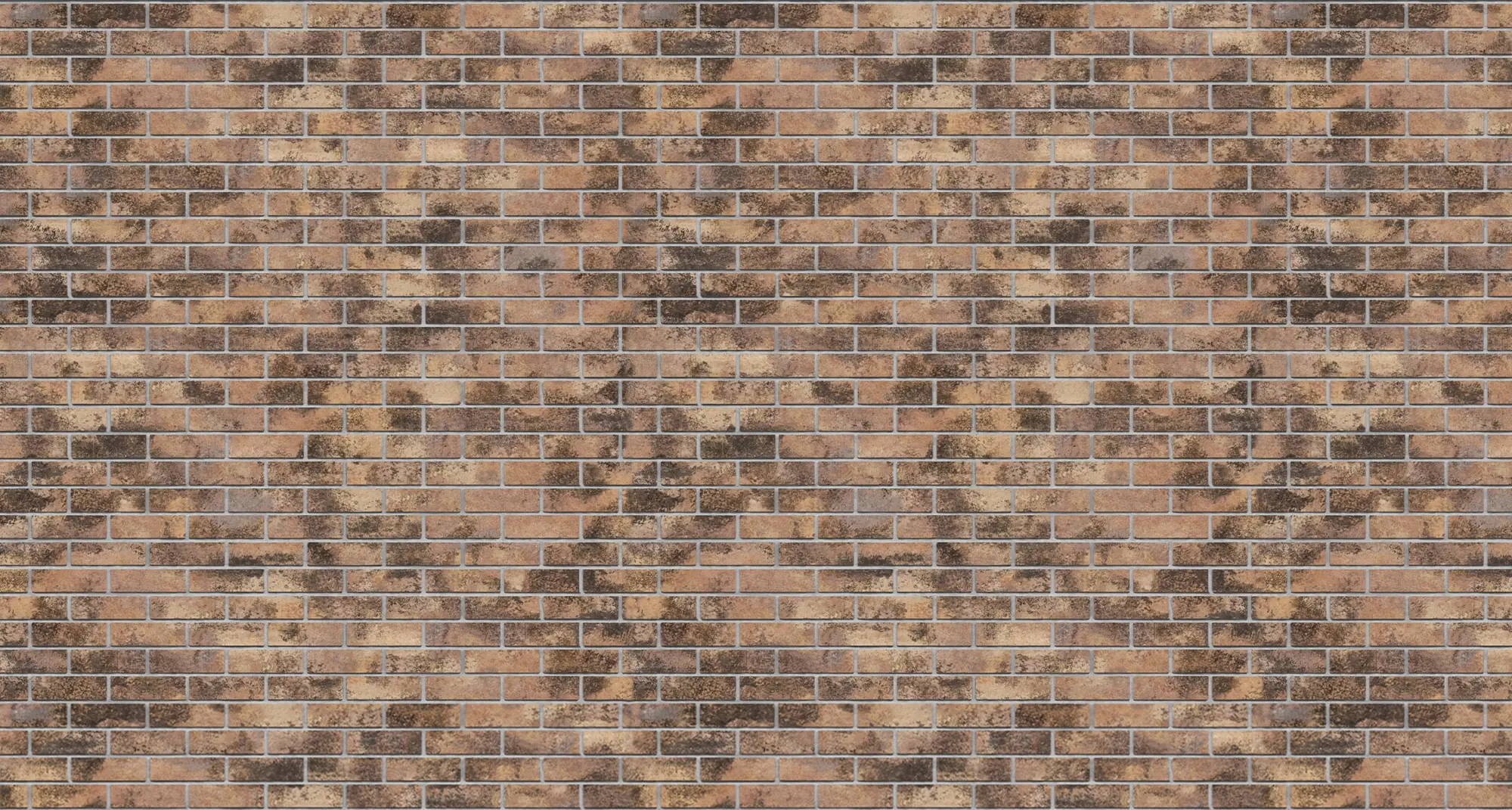 Rocky Boreal Oldbrick Modular