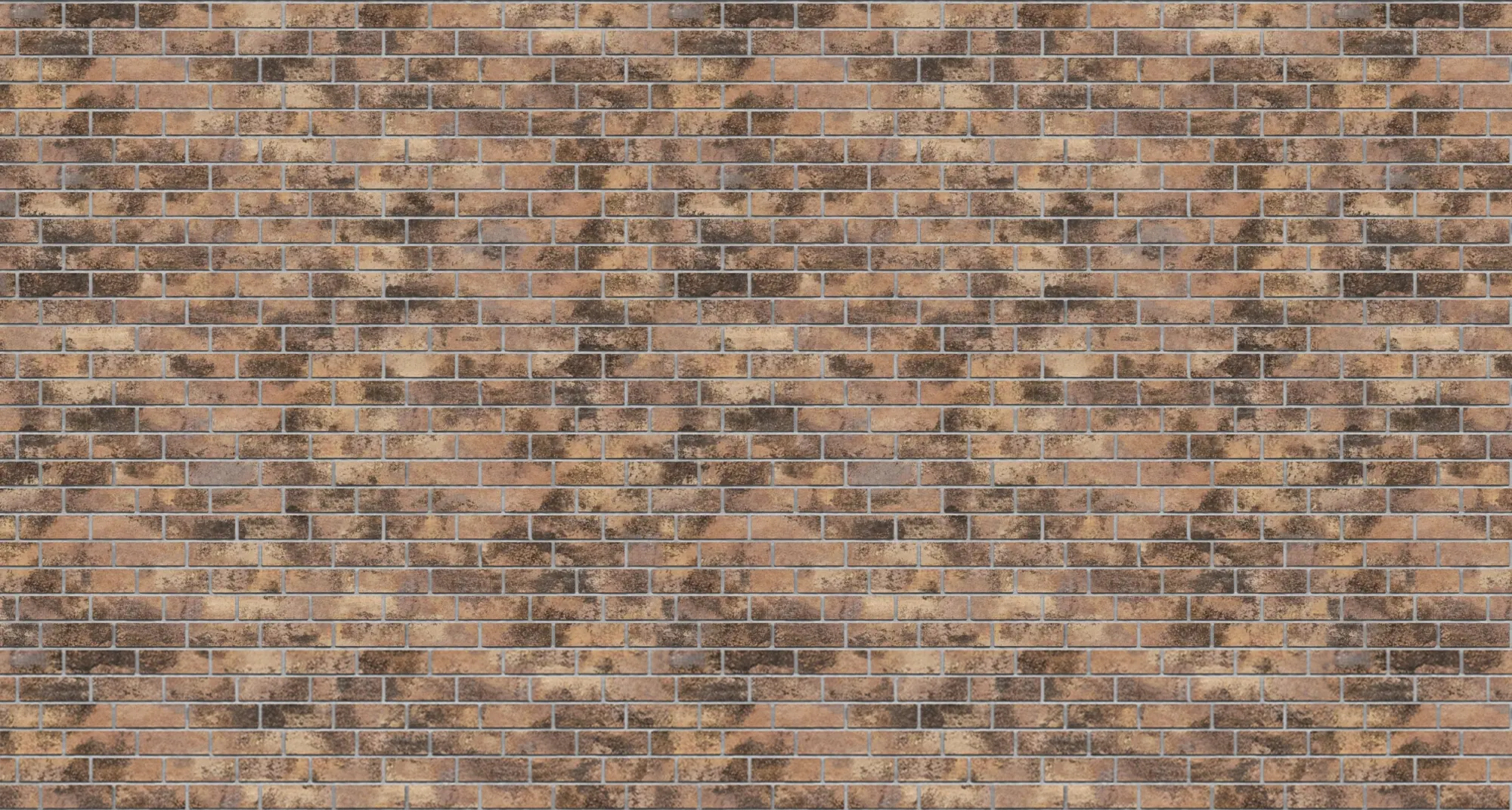 Rocky Boreal Oldbrick Queen