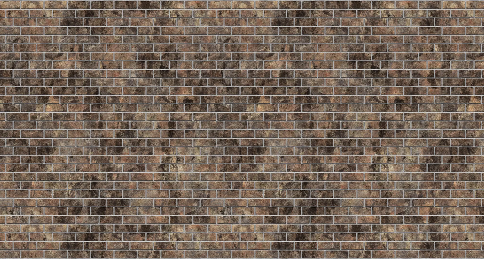 Rocky Nevada Oldbrick Queen