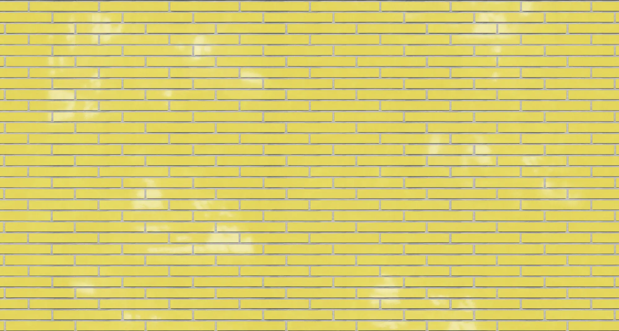 Yellow Smooth Glazed Norman Xl
