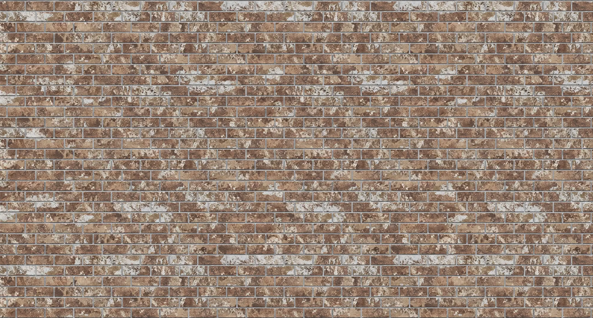 Mocha Oldbrick Queen